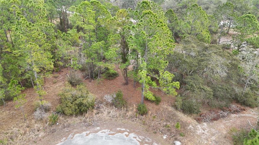 Discover the perfect opportunity to build your dream home or invest in one of Central Florida’s growing communities! This 0.20-ACRE vacant lot is ideally located on a QUIET CUL-DE-SAC in Poinciana Village, offering privacy with MINIMAL THROUGH TRAFFIC—perfect for future homeowners seeking peace and space. Whether you’re looking to design and build your own home, hold for future appreciation, or develop and resell, this property gives you flexibility and potential. With new construction continuing throughout the area, now is the time to secure your piece of land in a neighborhood that’s steadily growing. Enjoy convenient access to shopping, dining, schools, parks, and major roadways connecting you to Orlando, Kissimmee, and beyond. Don’t miss your chance to turn this blank canvas into your next opportunity—BUILD NOW OR INVEST FOR THE FUTURE! Both 1255 Wahneta and 1256 Wahneta lots next to each other on the cul-de-sac are available.