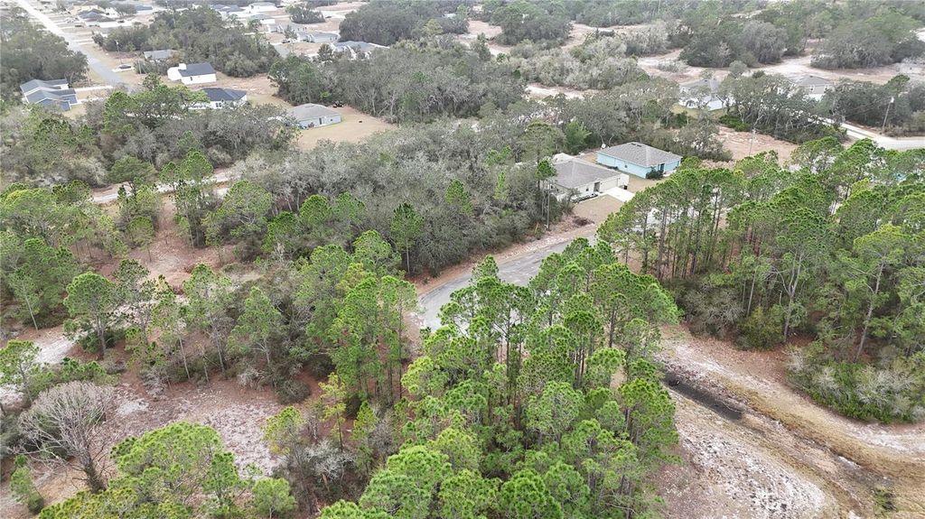 Photo of 1255 Wahneta Drive, Kissimmee, FL 34759 (MLS # O6391382)