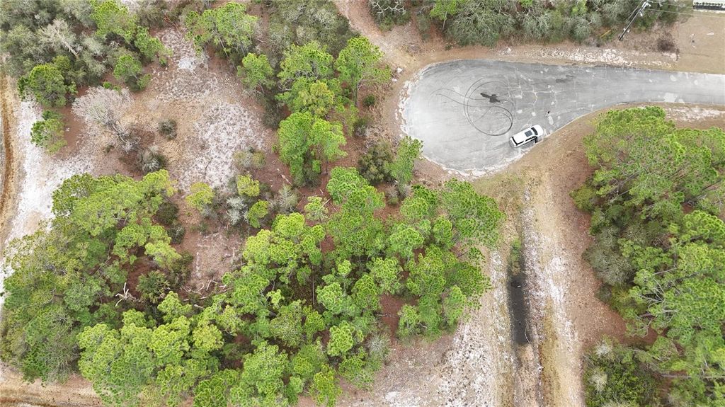 Photo of 1255 Wahneta Drive, Kissimmee, FL 34759 (MLS # O6391382)