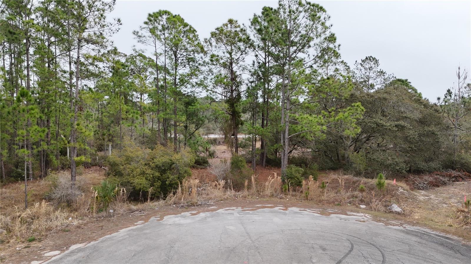 POINCIANA NBRHD 02 WEST VILLAGE 07 - Land