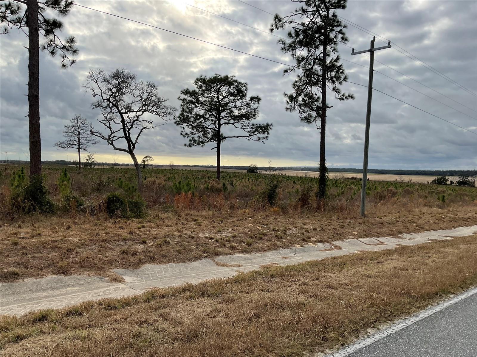 WILLISTON HIGHLANDS UNIT 12 - Land