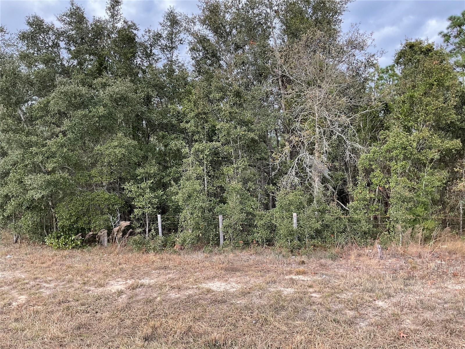 WILLISTON HIGHLANDS UNIT 12 - Land