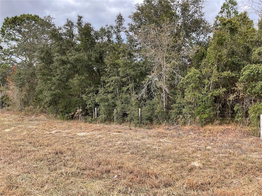 COUNTRY LIVING FOR A QUIET LIFESTYLE!  1 acre lot with pine trees and oaks on a paved road corner lot! No flood zone or HOA. Just minutes to Williston for shopping, schools, churches etc.  Only 35 minutes to horse events at WEC, HITS, and BLK PRONG. 35 minutes to Ocala, Gainesville, Bronson, Cedar Key and Dunnellon.