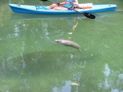 A home in WEEKI WACHEE