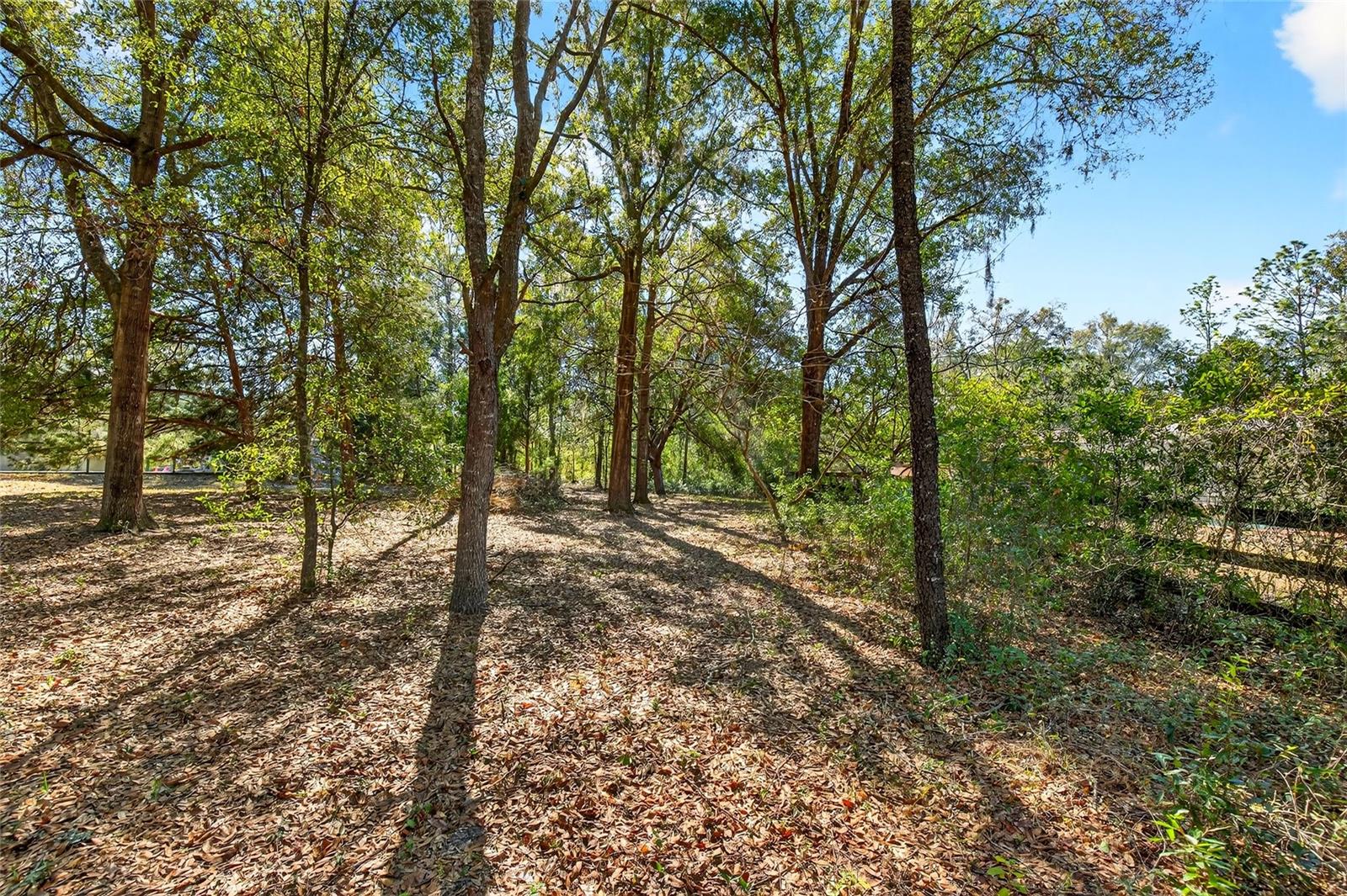 RAINBOW SPRINGS - Residential