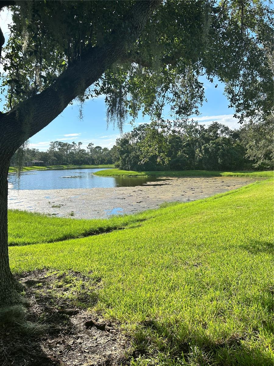 3/2/2 – Beautiful pond view villa located in the gated and maintenance free community of Phoebe Park. This one story 3 bedroom, 2 bath, 2 car garage provides an opportunity to enjoy the Florida lifestyle. You first enter a spacious living and dining room area with recently installed laminate flooring with triple sliders leading to a covered and screened in patio that is prewired for a hot tub. The pond view provides extra privacy as there are no backyard neighbors just tranquility. The extra large primary bedroom is off of the living area and includes a large sitting area with triple sliders that flows out to the patio allowing you to wake to natural light and that magnificent view. The primary bedroom has an on-suite bathroom with a walk-in closet, dual vanities, a garden soaking tub and separate shower. Off of the living room is the kitchen with recently added stainless steel appliances and eat-in area and a breakfast bar. The two additional bedrooms are on the opposite side of the kitchen for a split floor plan ideal for added privacy from primary bedroom and living area. Recent improvements include: fresh neutral paint, water softener and filter, under sink reverse osmosis system, water heater, new lighting fixtures and new faucets. Furnishing are available with acceptable offer and as negotiated by buyer and seller's agent to provide for quick move in. Seller is offering a 1 year home warranty for peace of mind. Start enjoying the serene pond view with oak trees reminiscent of old Florida providing for calm mornings, relaxing evenings, and ideal area for entertaining. Current monthly maintenance fee covers landscaping, lawn, exterior painting, roof replacement and access to a private pool for Phoebe Park residents only. Owners will also have access to all of the extensive amenities of FishHawk Ranch. Zoned for Fishhawk Creek Elementary, Randall Middle School, and Newsome High School. The lot and location are ideal as it is within walking distance to park square, schools, trails, aquatic center, fitness center and other community amenities. Downtown Tampa, Orlando, beautiful beaches and golf courses are a short drive. Schedule your showing today.