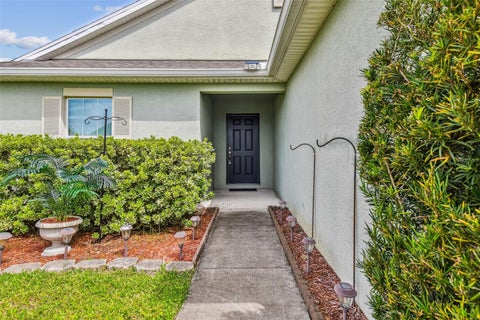 30821 Water Lily Drive, Brooksville, FL 34602