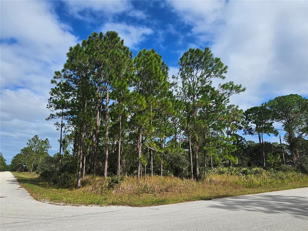 Photo of 1147 Wildflower Street, Lake Placid, FL 33852 (MLS # P4940288)