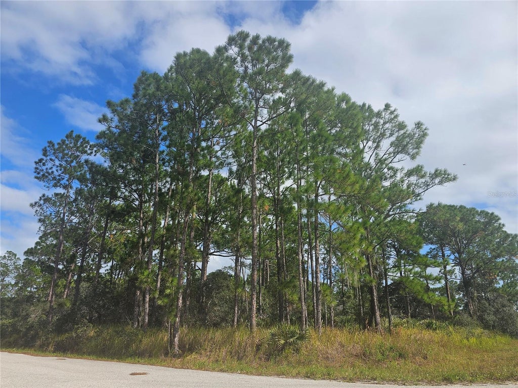 Photo of 1147 Wildflower Street, Lake Placid, FL 33852 (MLS # P4940288)