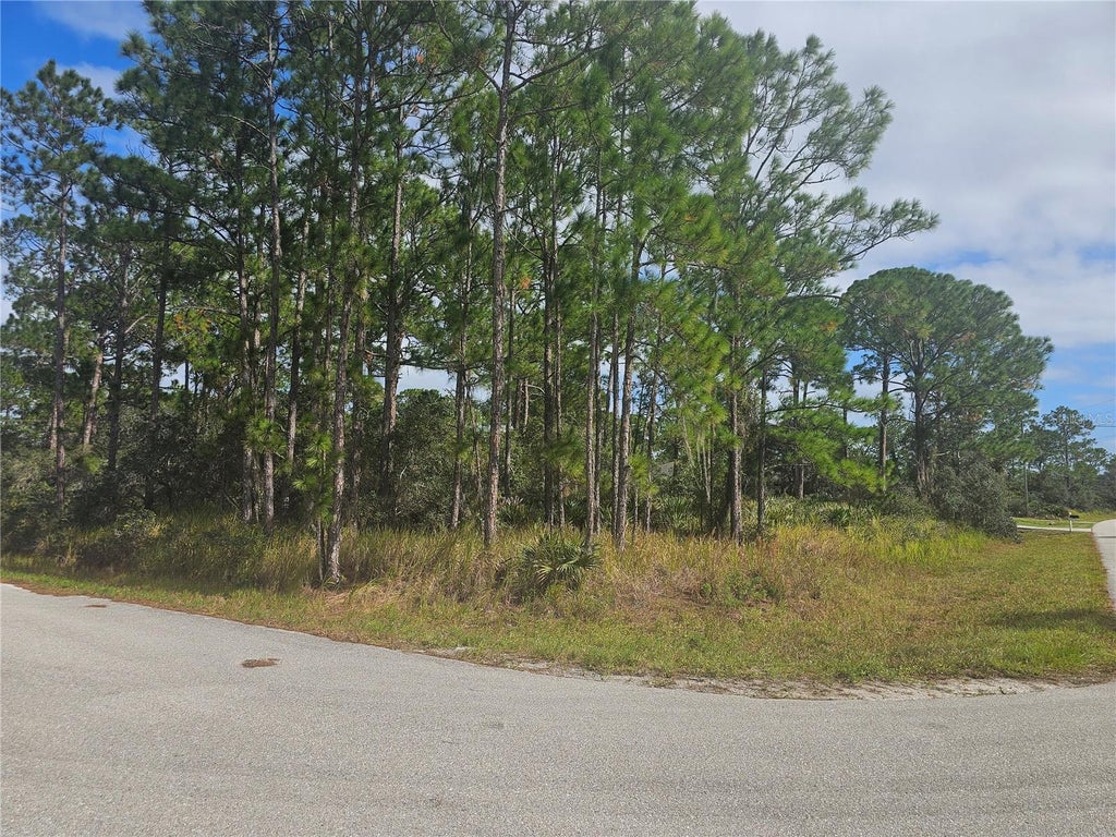 Photo of 1147 Wildflower Street, Lake Placid, FL 33852 (MLS # P4940288)
