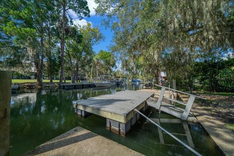 Tiny photo for Crystal River, FL 34429 (MLS # OM710575)