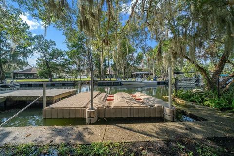 Tiny photo for Crystal River, FL 34429 (MLS # OM710575)