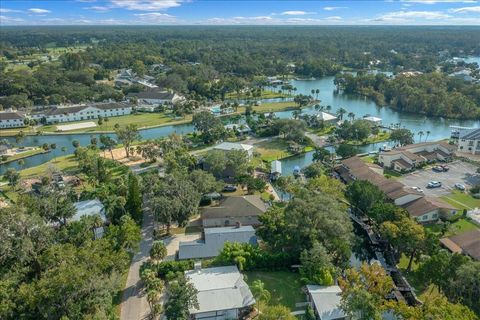 Tiny photo for Crystal River, FL 34429 (MLS # OM710575)