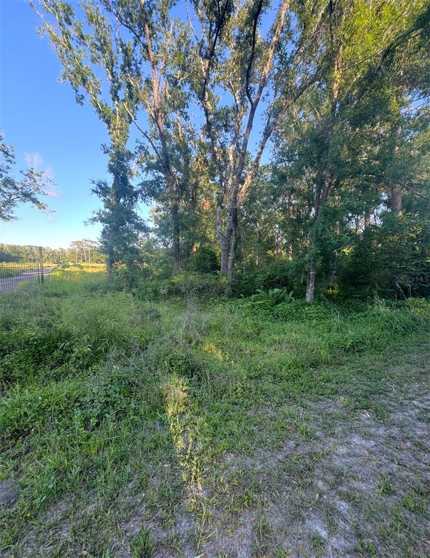 Discover a rare opportunity to own a double lot in the heart of Tampa’s desirable Citrus Park area. Situated on a 0.25-acre parcel, please note that approximately 95 of the land is designated as wetlands, and any prospective buyer would need to obtain the necessary exceptions to build. A delineation report is already on file, providing clarity for future development considerations. 

Located just minutes from top-rated schools, shopping centers, dining establishments, and major highways, this lot presents an excellent investment for those looking to build their dream home or hold for future appreciation. Don’t miss out on this unique chance to secure a piece of Tampa’s thriving real estate market.
