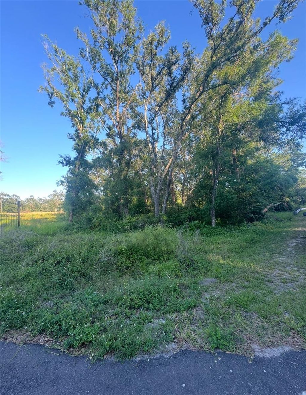 Photo of 14805 Berkford Avenue, Tampa, FL 33625 (MLS # TB8387133)