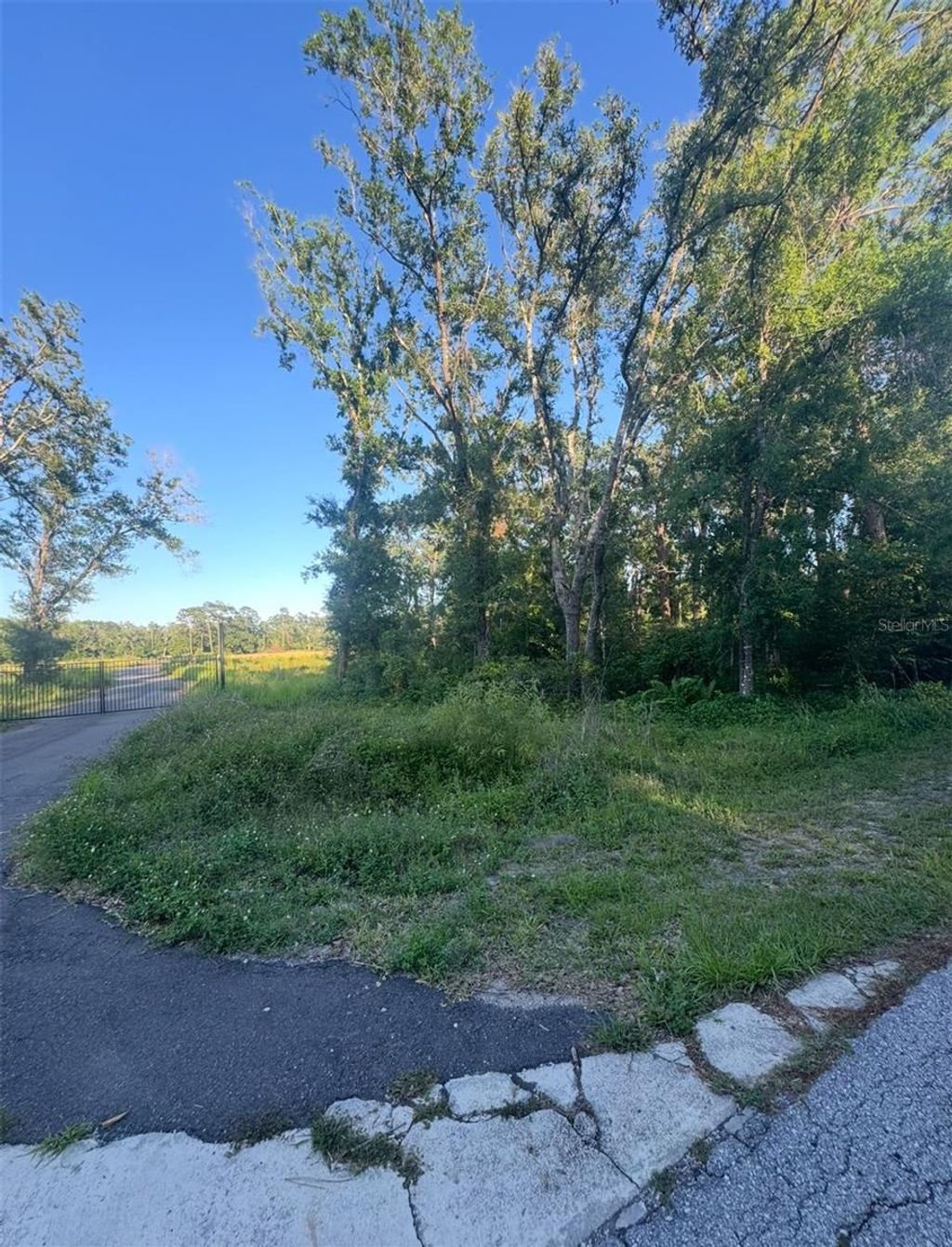 Photo of 14805 Berkford Avenue, Tampa, FL 33625 (MLS # TB8387133)