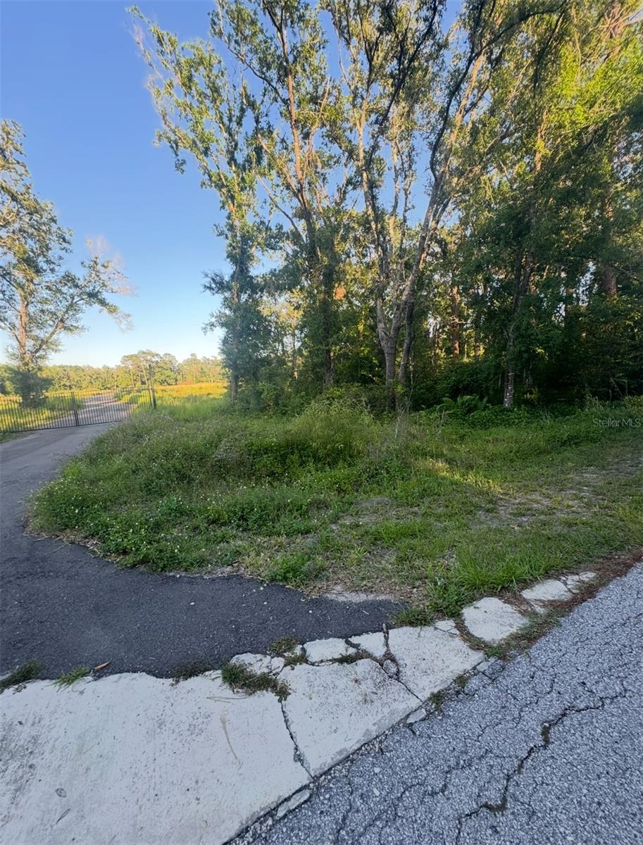 TOWN OF CITRUS PARK - Land