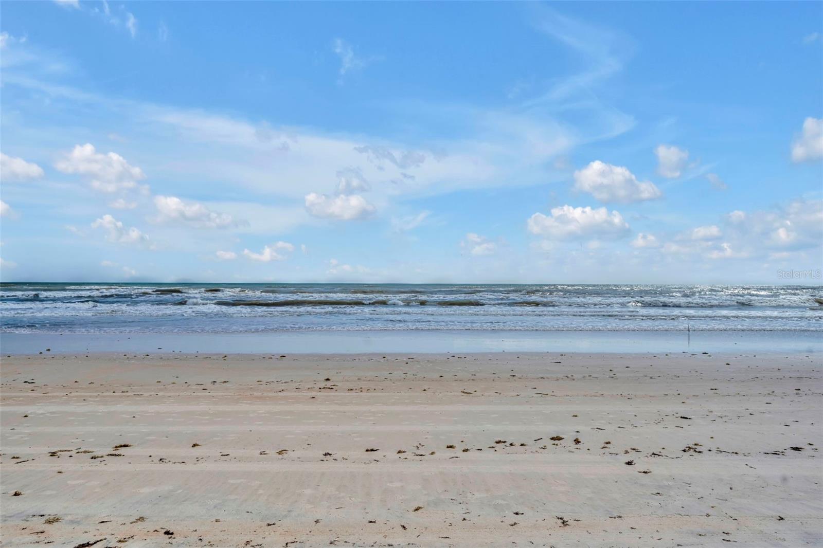 OCEAN RITZ CONDO - Residential Lease