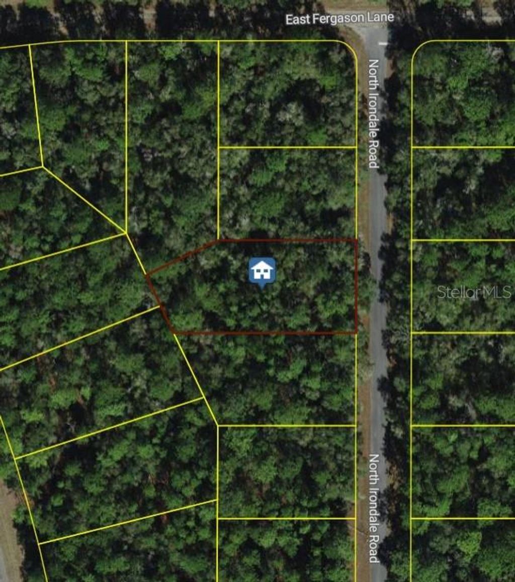 Photo of 9452 N Irondale Road, Dunnellon, FL 34434 (MLS # OM718837)