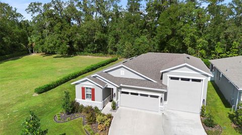 A home in DELAND