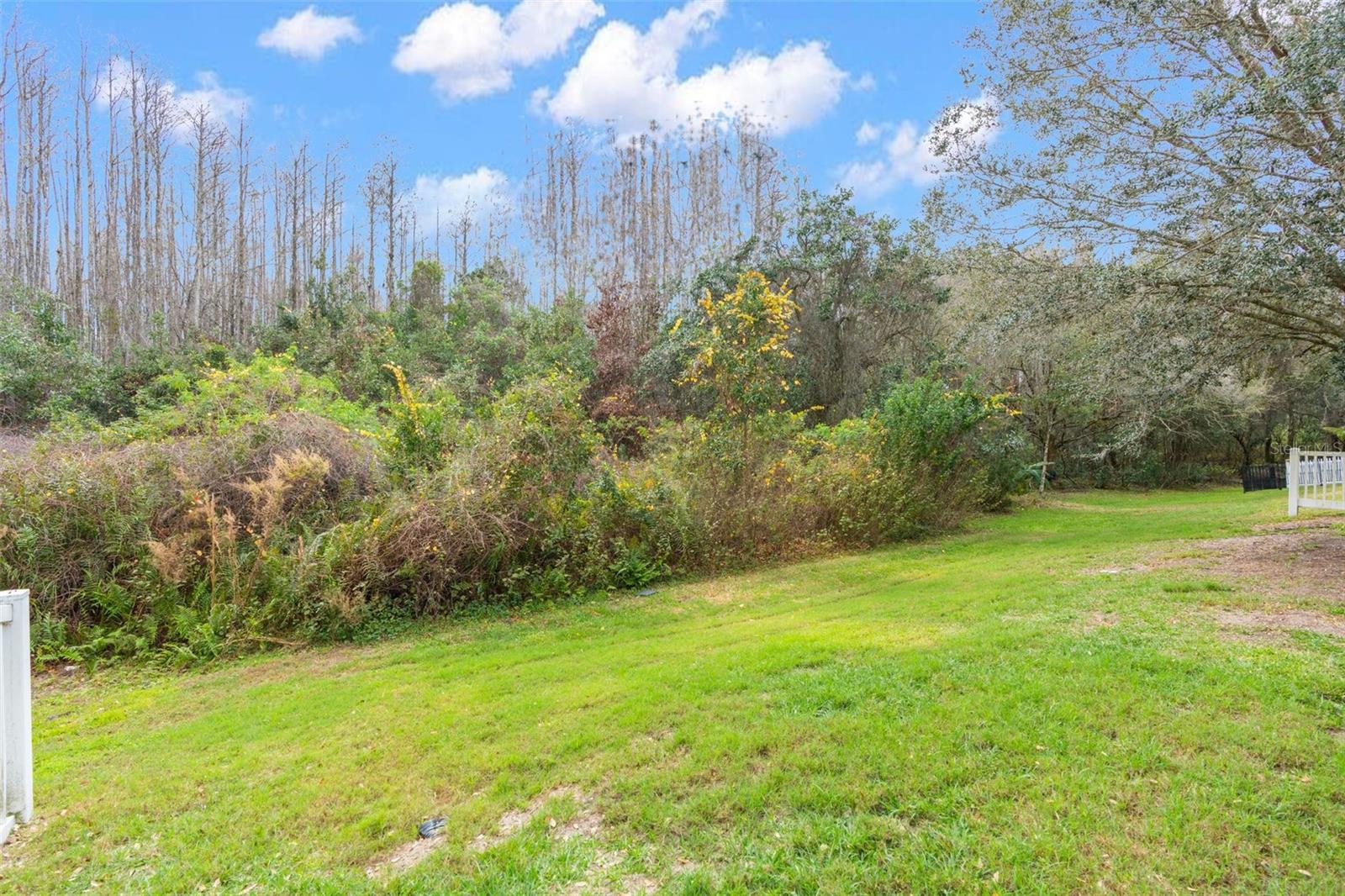 LAKESHORE RANCH PH I - Residential