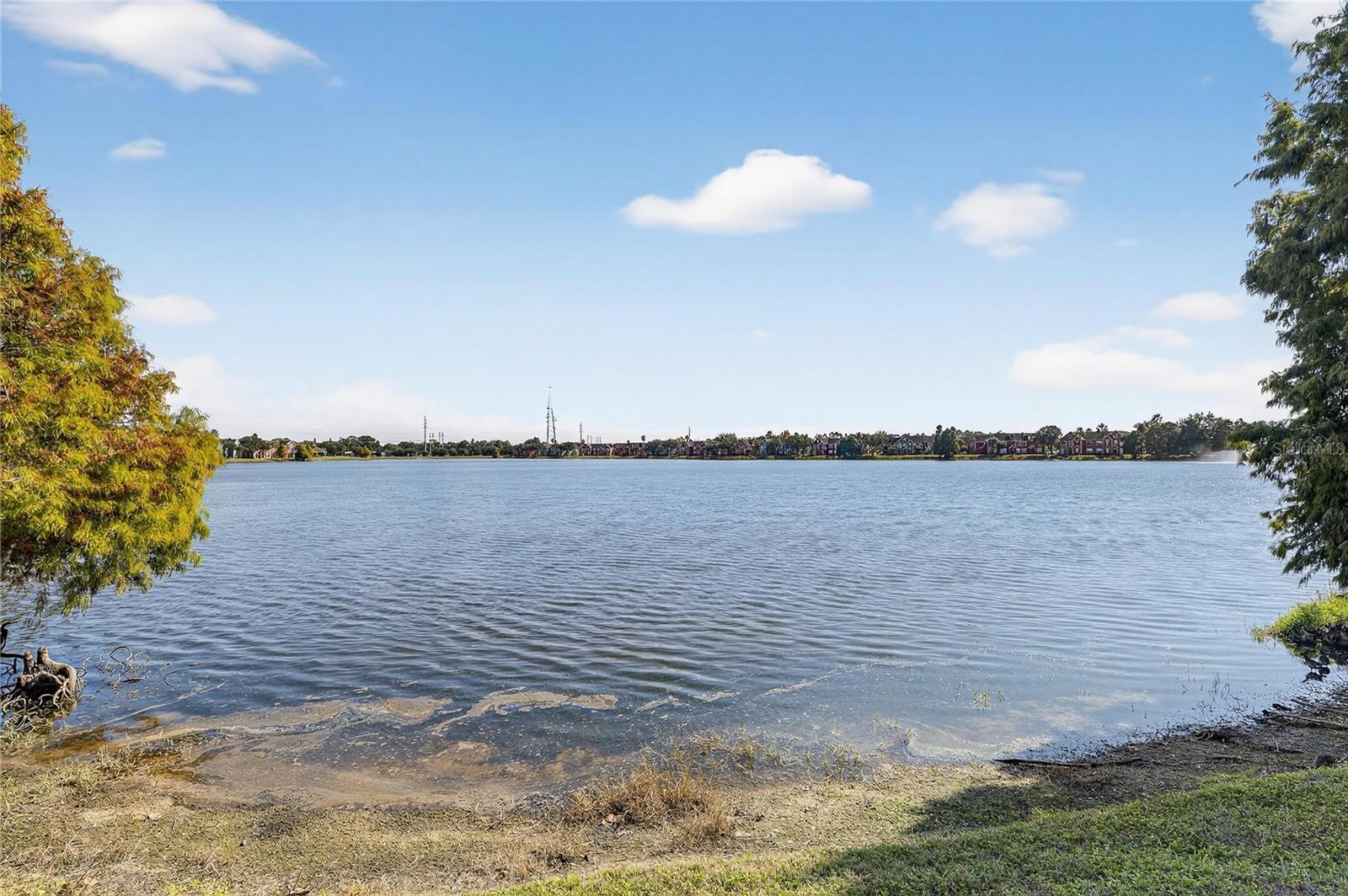LAKE CHASE CONDO - Residential Lease