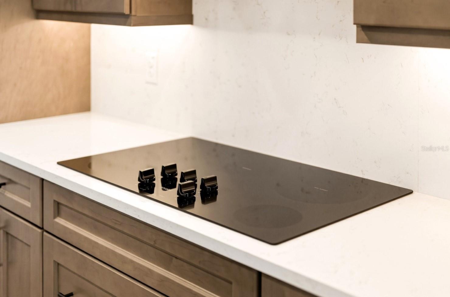 TOWNHOMES OF SEMINOLE ISLE - Residential