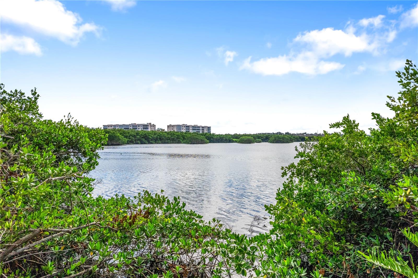 TOWNHOMES OF SEMINOLE ISLE - Residential