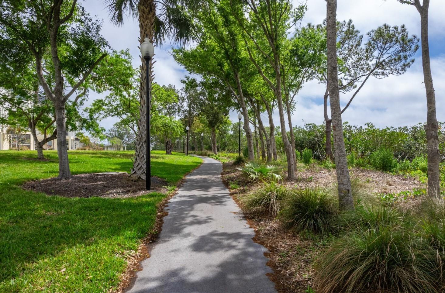 TOWNHOMES OF SEMINOLE ISLE - Residential