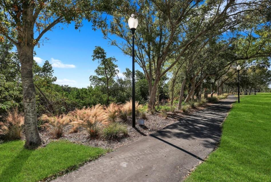 TOWNHOMES OF SEMINOLE ISLE - Residential