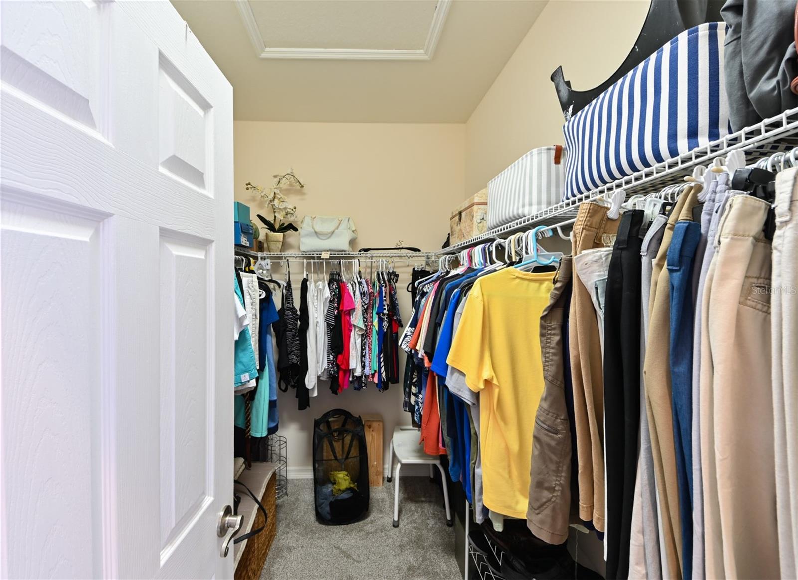 PALMA SOLA TRACE - Residential Lease