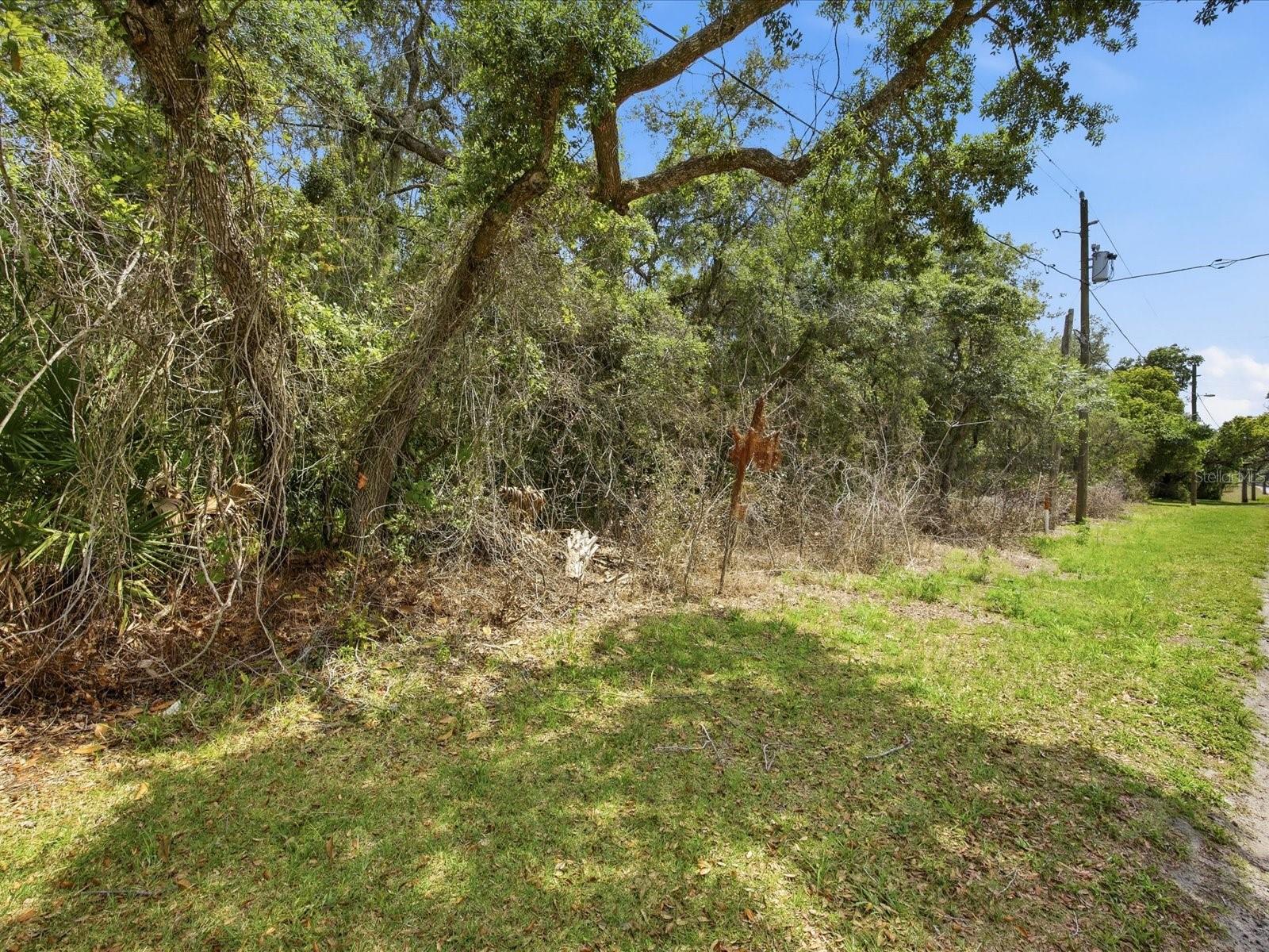 DAYTONA PARK ESTATES SEC C - Land