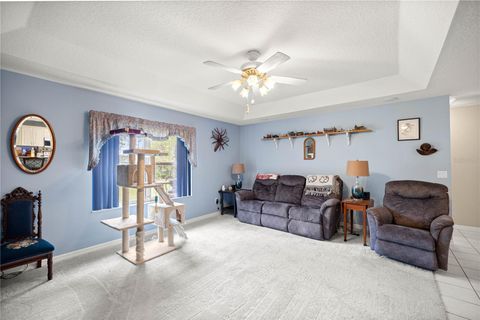 Tiny photo for 11271 SE 136th Terrace, Dunnellon, FL 34431 (MLS # OM704594)