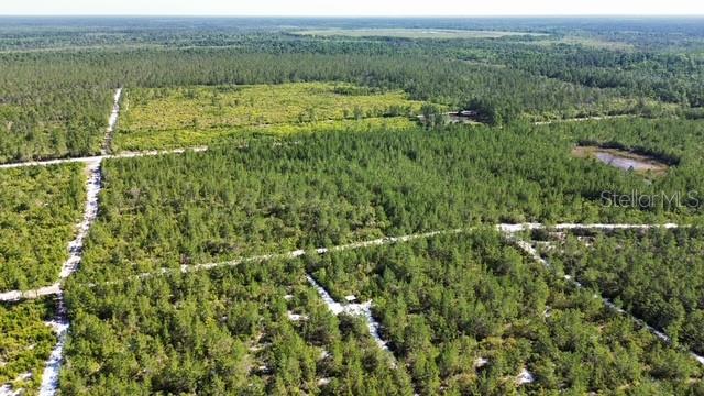 SAWGRASS FILL ROAD