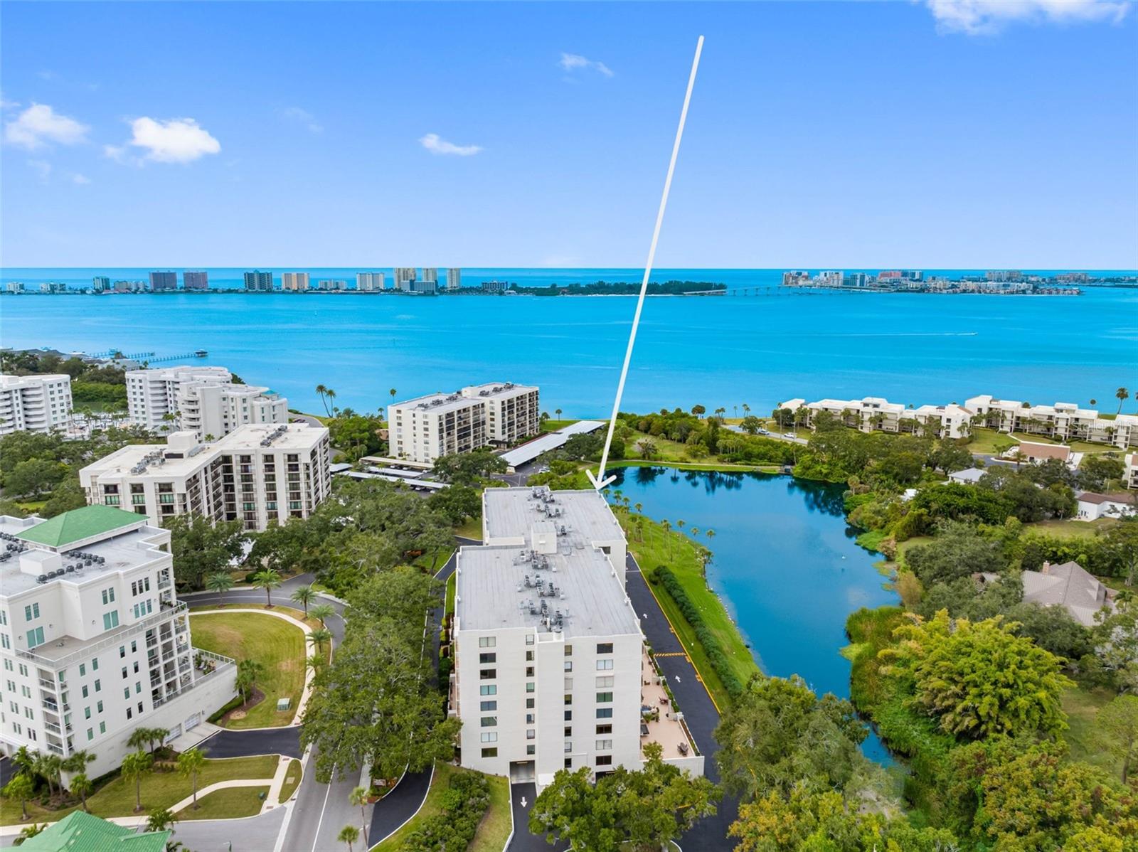 220 BELLEVIEW BOULEVARD 609