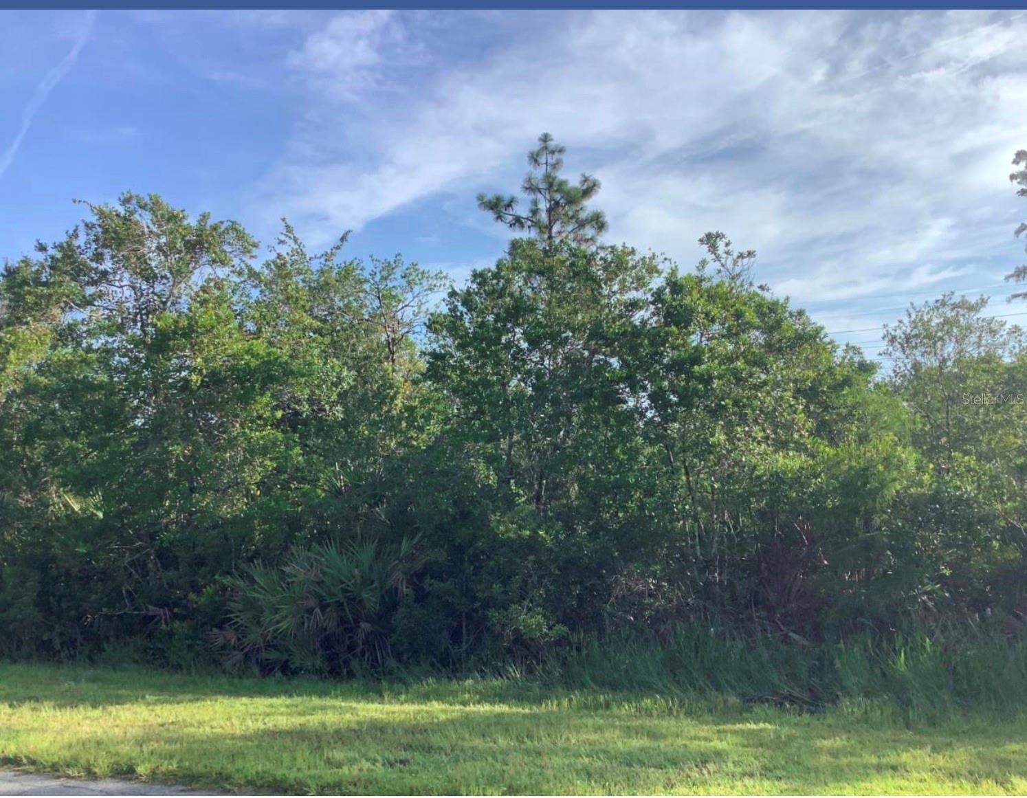 Build your dream home on this exceptional vacant lot in Wedgefield Cape Orlando Estates, one of East Orlando’s most sought-after communities! This expansive lot offers the perfect blend of privacy and natural beauty, nestled among custom-built homes and surrounded by serene Florida landscape. Enjoy the peace and space of country living with convenient access to major highways, the Orlando International Airport, Lake Nona Medical City, UCF, and the Space Coast beaches. Whether you’re looking to build now or invest for the future; this is an outstanding opportunity in a rapidly growing area. Don’t miss your chance to own a piece of paradise in Wedgefield!