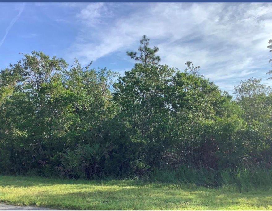 Build your dream home on this exceptional vacant lot in Wedgefield Cape Orlando Estates, one of East Orlando’s most sought-after communities! This expansive lot offers the perfect blend of privacy and natural beauty, nestled among custom-built homes and surrounded by serene Florida landscape. Enjoy the peace and space of country living with convenient access to major highways, the Orlando International Airport, Lake Nona Medical City, UCF, and the Space Coast beaches. Whether you’re looking to build now or invest for the future; this is an outstanding opportunity in a rapidly growing area. Don’t miss your chance to own a piece of paradise in Wedgefield!