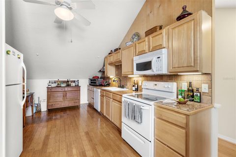 Tiny photo for 442 E 3rd Avenue, Mount Dora, FL 32757 (MLS # O6351198)