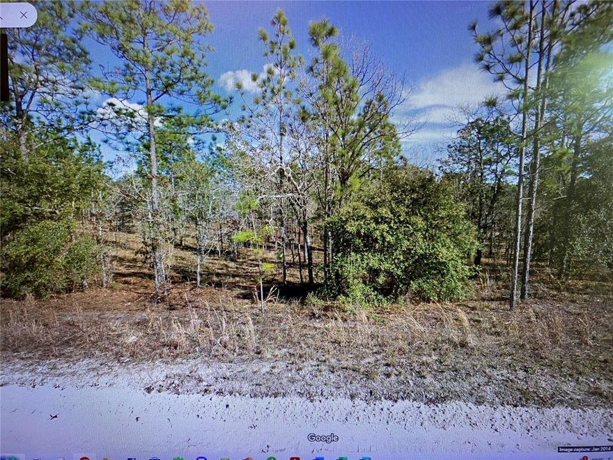 Single family home or mobile home allowed. Large 1 acre parcel in a beautiful location between the towns of Williston, Bronson, & Morriston. Just a few miles into town with Winn-Dixie, Walgreens, gas station, and several stores and restaurants. Plenty of the great outdoors with recreation, parks, reserve land nearby. Electric pole is at the street and ready for hookup. No homeowners association. Located just east of the intersection of where SE 23rd Place and SE 150th Ave. (The 2321 street # is for mapping purposes only and not yet assigned by the county.) GPS coordinates = 29.298552, -82.522362 .  Lot 14 directly to the north is also for sale by the same owners. Let's make a deal.