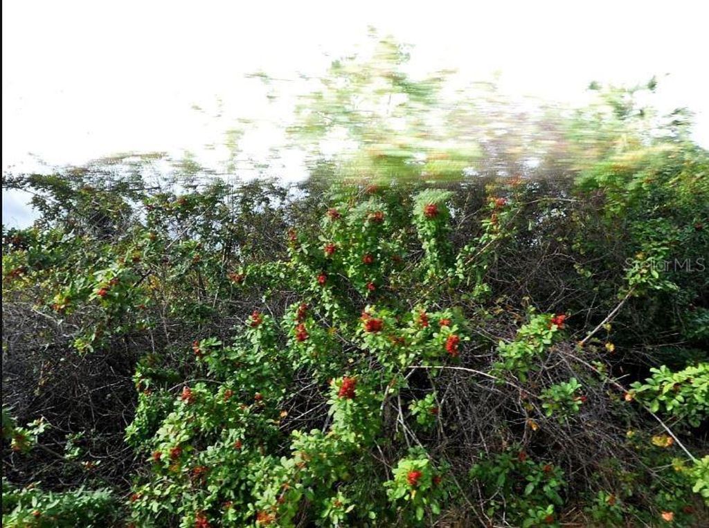 Photo of Mansfield Circle, North Port, FL 34288 (MLS # O6189086)