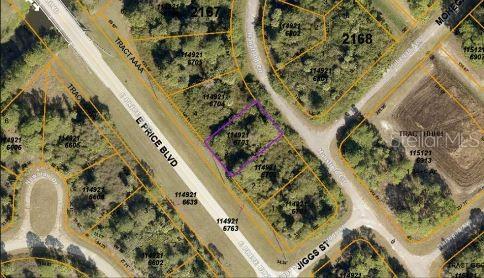 PORT CHARLOTTE SUB 45 - Land