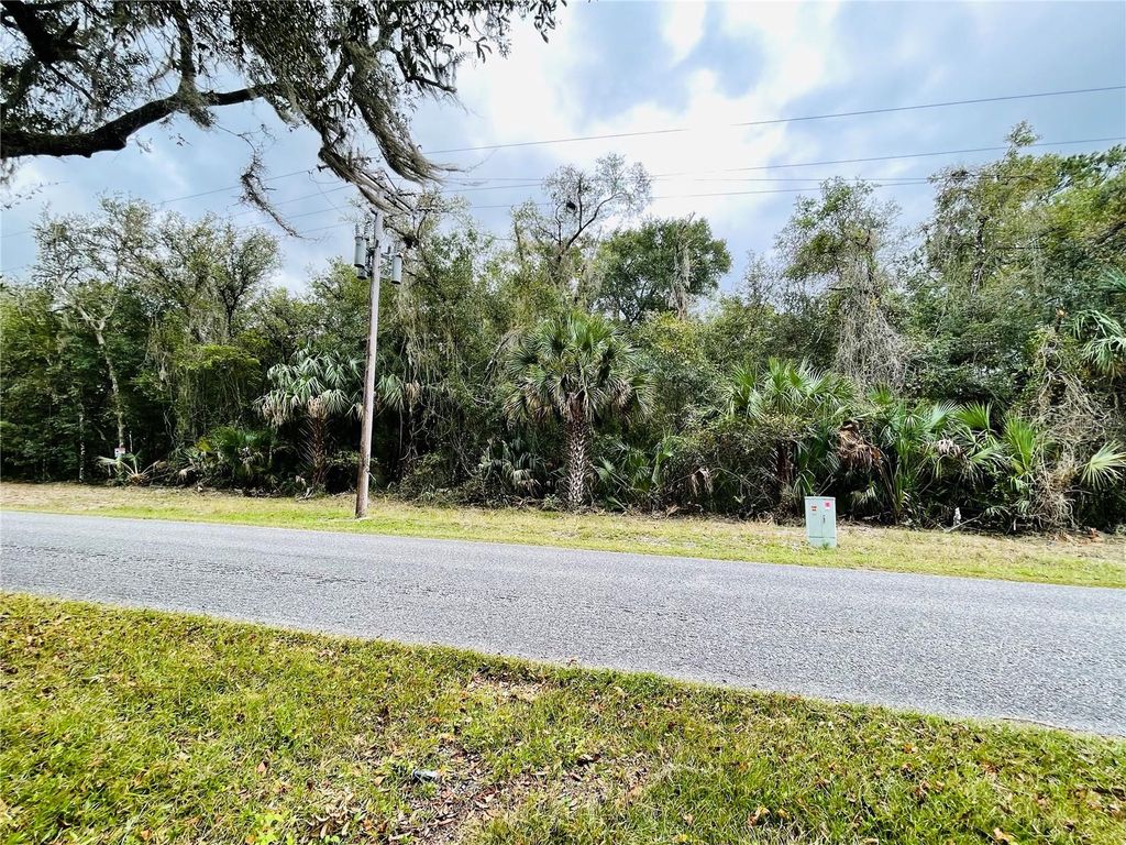 Photo of Tbd NE 245th Street Road, Fort Mccoy, FL 32134 (MLS # OM712285)