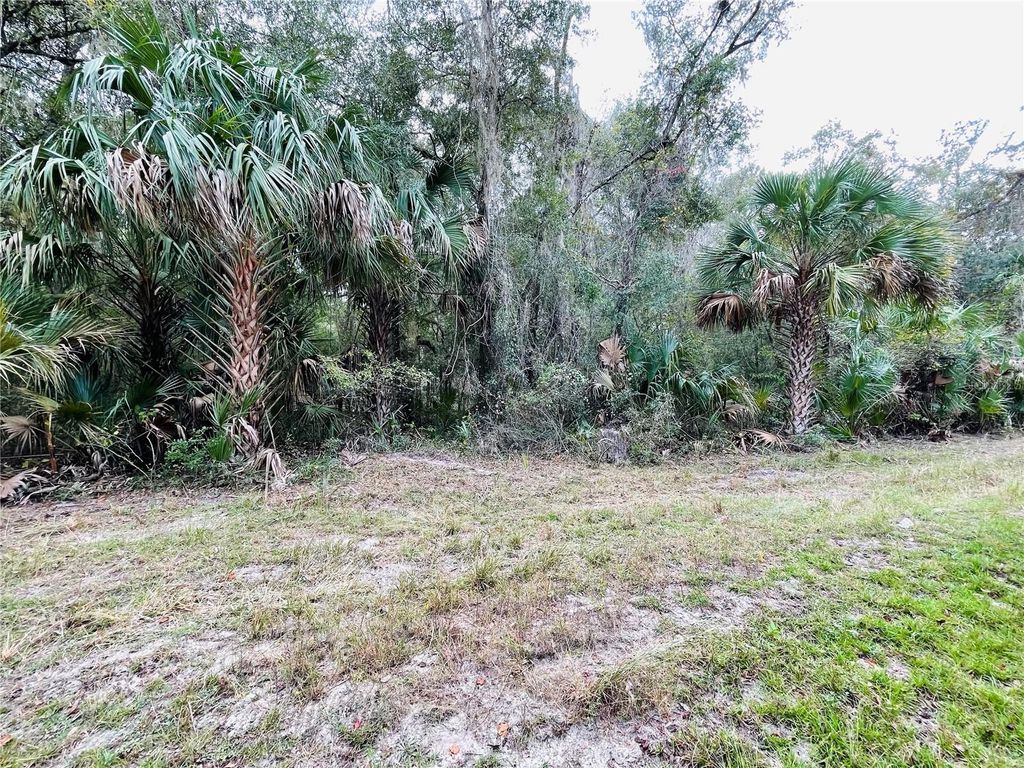 Photo of Tbd NE 245th Street Road, Fort Mccoy, FL 32134 (MLS # OM712285)