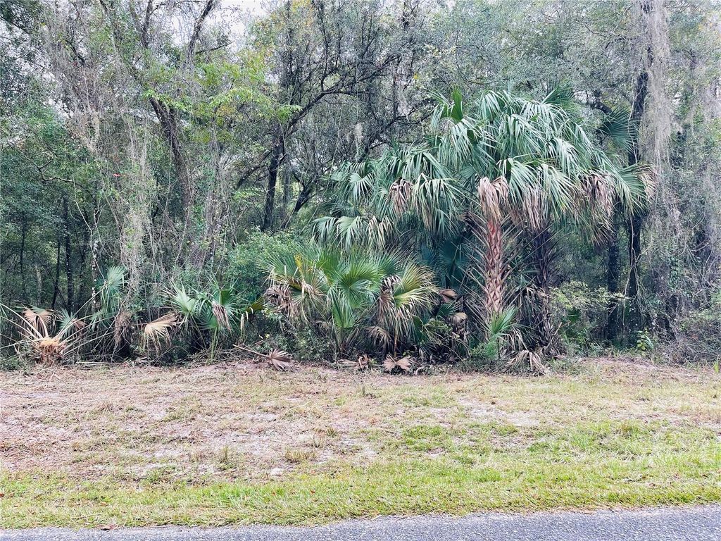 Photo of Tbd NE 245th Street Road, Fort Mccoy, FL 32134 (MLS # OM712285)
