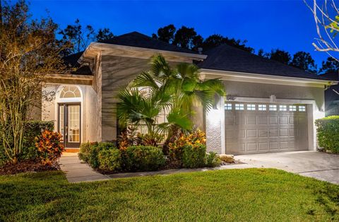 A home in TAMPA