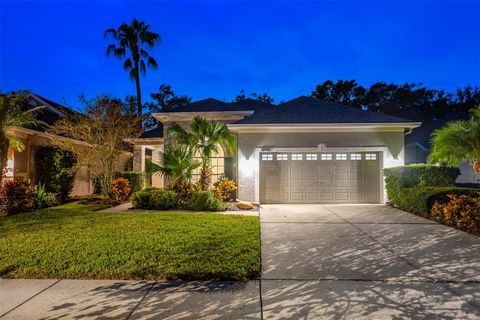 A home in TAMPA