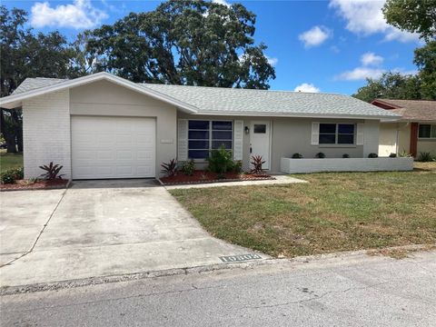 10803 HACHITA DRIVE PORT RICHEY FL 34668