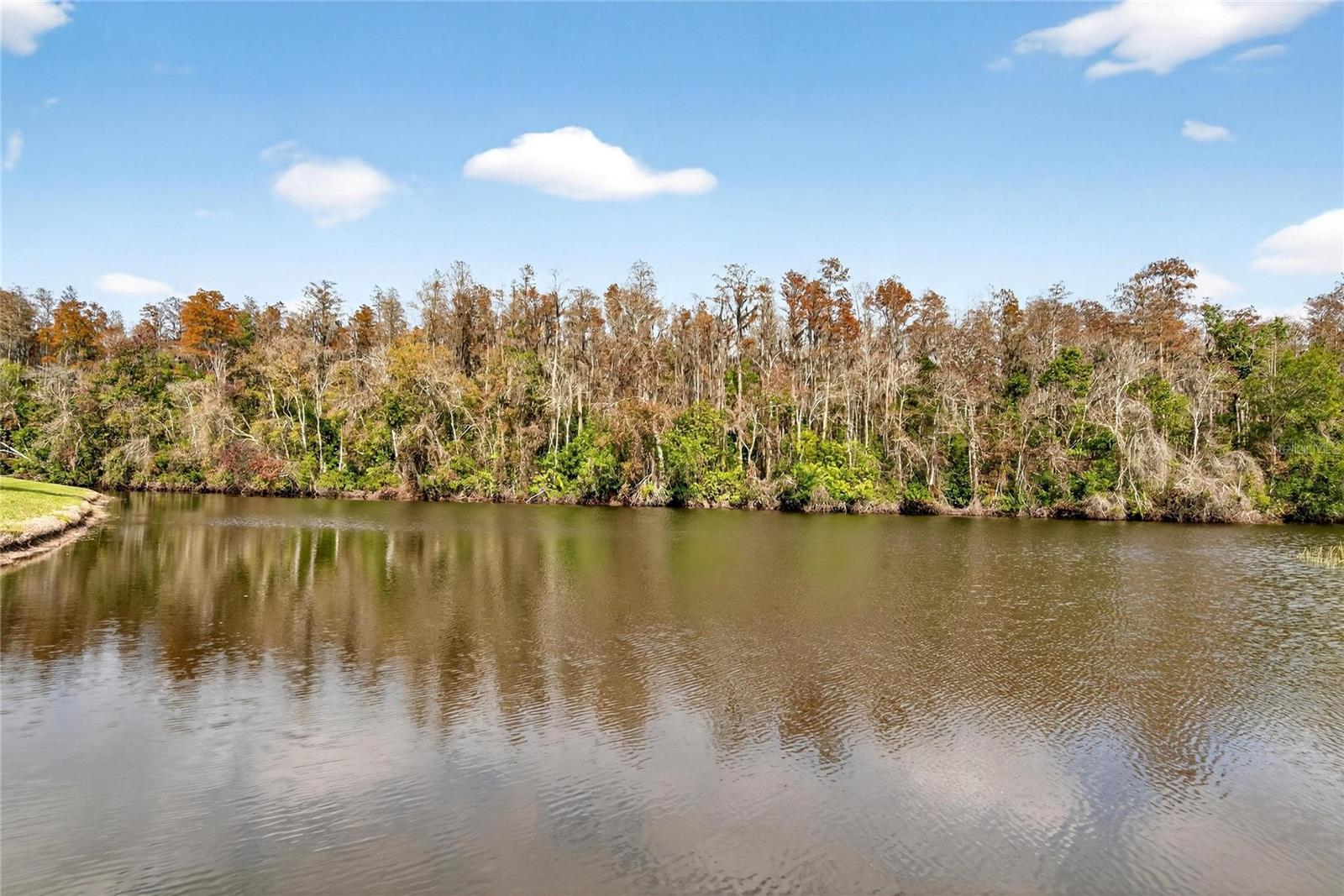 HIGHGATE IV CONDO - Residential