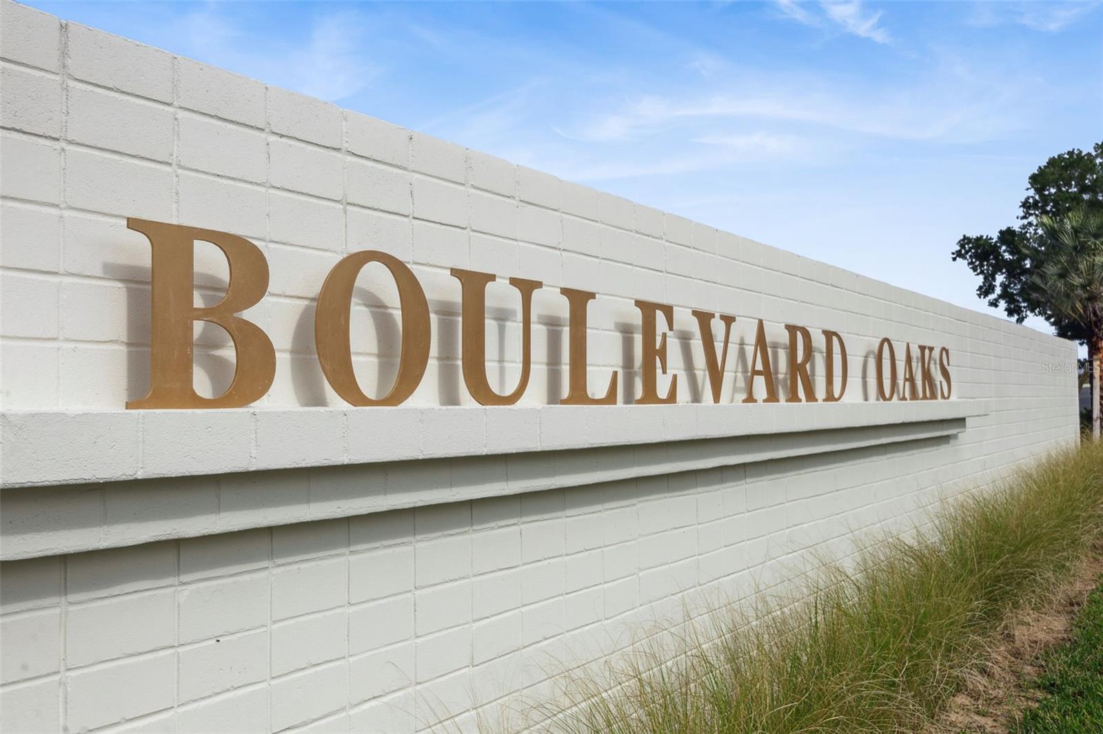 BOULEVARD OAKS AT LADY LAKE - Residential