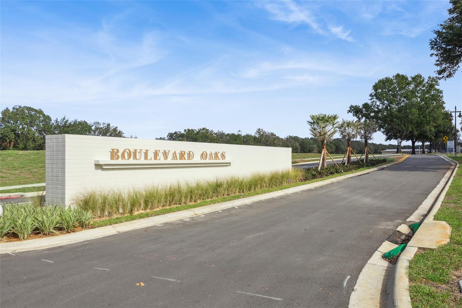 BOULEVARD OAKS AT LADY LAKE - Residential